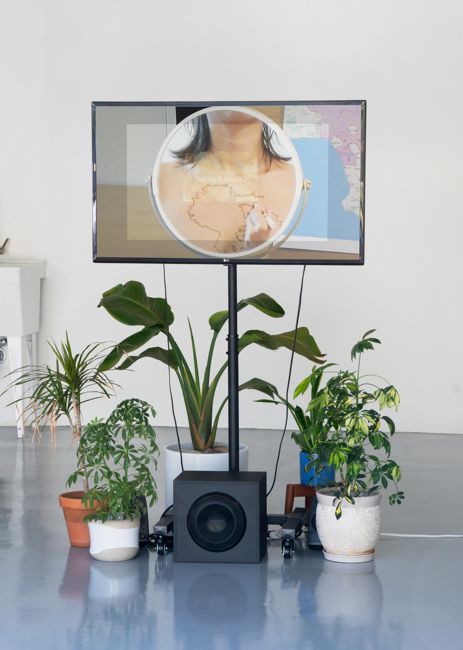 Jisoo Chung Installation at Riviera Parking, tv stand with plants