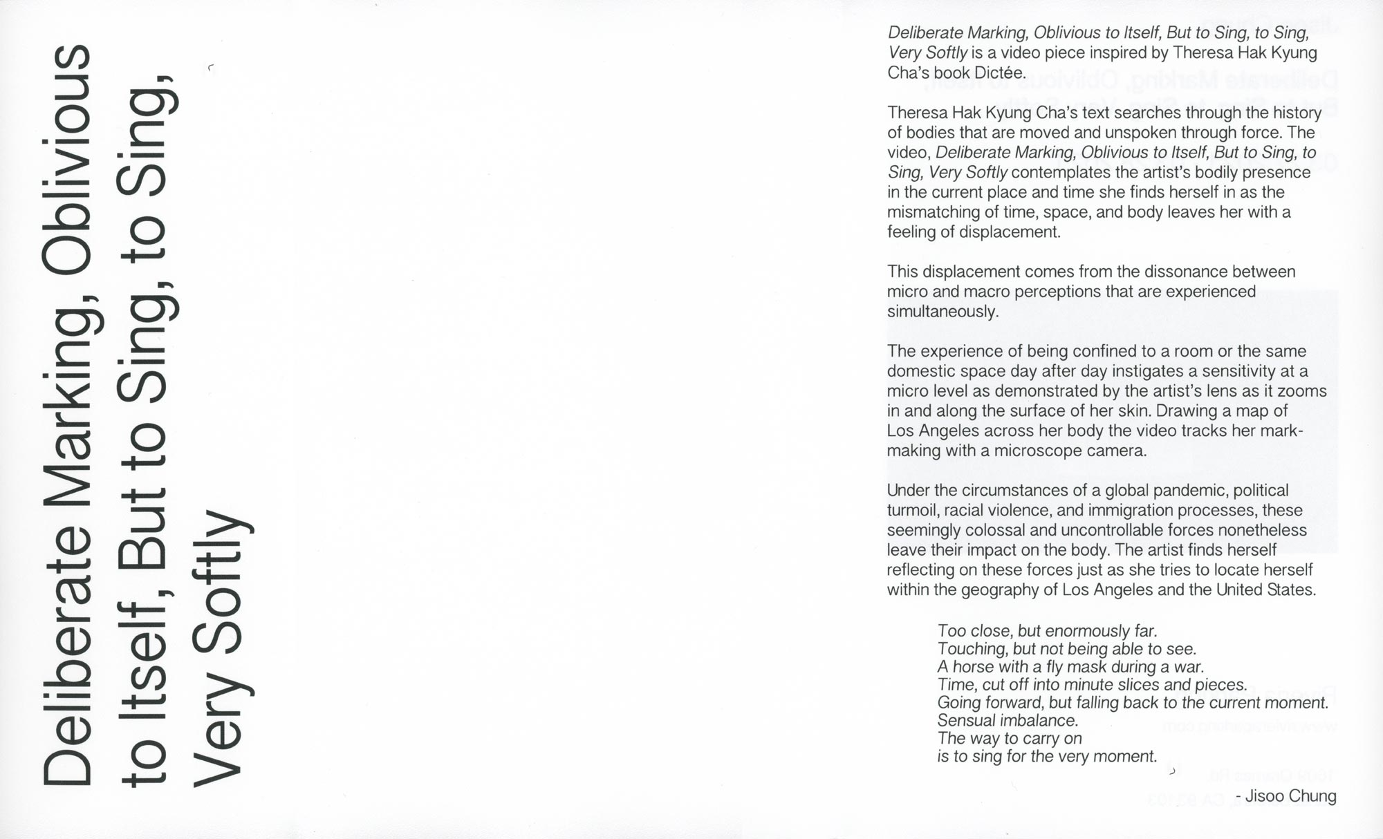Jisoo Chung pamphlet outside